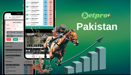 Payments & Withdrawal Batpro Casino